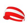 Elastic Unisex Sports Headband Moisture Wicking Athletic for Running, Working Out,Outdoor Sports Denmark Danish Flag Printing view 1
