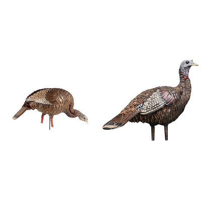 Avian-X HDR Feeding Hen & LCD Lookout Hen Turkey Decoys with Carry Bags & Stakes | Durable Realistic Lifelike Hunting Decoys