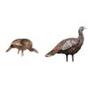 Avian-X HDR Feeding Hen & LCD Lookout Hen Turkey Decoys with Carry Bags & Stakes | Durable Realistic Lifelike Hunting Decoys view 1