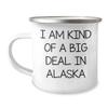 Funny Alaska Camping Mug | Unique Mother's Day Unique Gifts from Alaska for Mom, Wife, Sister view 1