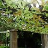 Camo Netting,Camouflage Net, Jungle Hidden Netting, for Hunting, Shooting, Military Theme Party Decoration, Sunshade, Car Cover(Wear-resistant and breathable, good sun protection)(Size:2x6m/6.6x19.7ft view 4