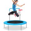 Lyromix 48Inch Mini Fitness Trampoline for Adults and Kids, Small Exercise Trampoline with Adjustable Handle for Indoor Outdoor Workout, Blue view 1