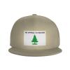 an Appeal to Heaven Flag Snapback Hats for Men Baseball Cap Trucker Hat Flat Brim Hats Natural view 2