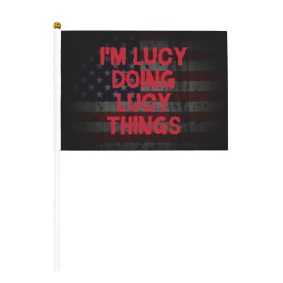 Joisbs I'm Lucy Doing Lucy Things Vibrant Double-Sided Handheld Flags 5.5x8.3in: Celebrate Election Day with Style! Pack of 10 - Order Now!