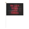 Joisbs I'm Lucy Doing Lucy Things Vibrant Double-Sided Handheld Flags 5.5x8.3in: Celebrate Election Day with Style! Pack of 10 - Order Now! view 1