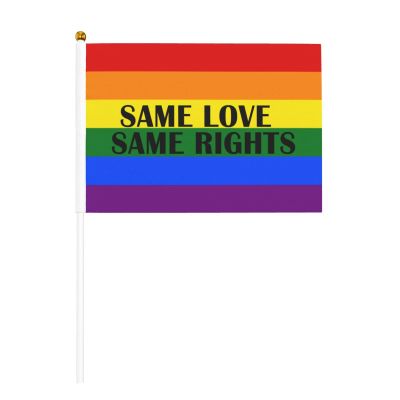Joisbs Same Love Same Rights LGBTQ Pride Flag Vibrant Double-Sided Handheld Flags 5.5x8.3in: Celebrate Election Day with Style! Pack of 10 - Order Now!
