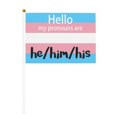 Joisbs Pride Pronoun He Him His Trans Pride Vibrant Double-Sided Handheld Flags 5.5x8.3in: Celebrate Election Day with Style! Pack of 10 - Order Now!