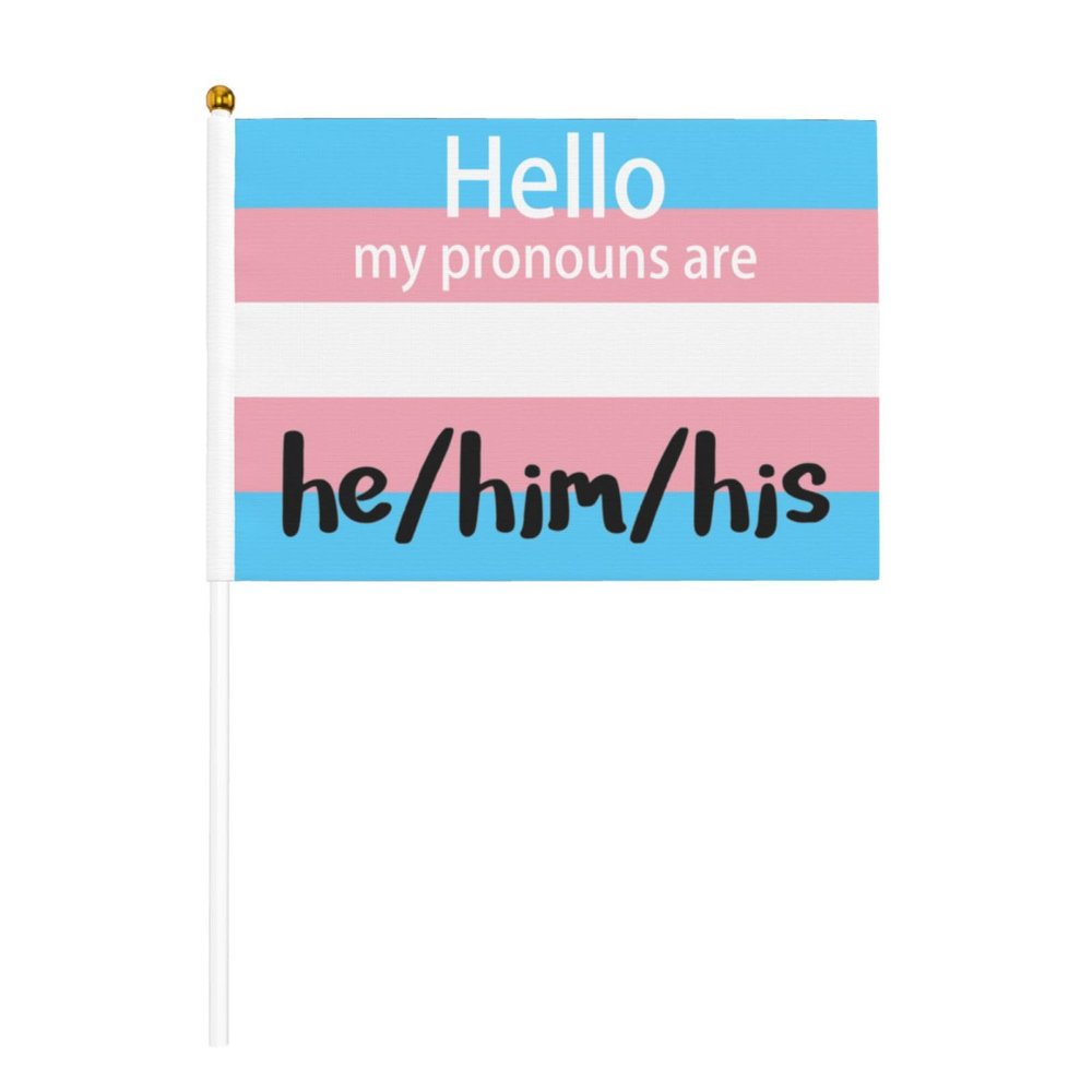 Joisbs Pride Pronoun He Him His Trans Pride Vibrant Double-Sided Handheld Flags 5.5x8.3in: Celebrate Election Day with Style! Pack of 10 - Order Now!