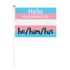 Joisbs Pride Pronoun He Him His Trans Pride Vibrant Double-Sided Handheld Flags 5.5x8.3in: Celebrate Election Day with Style! Pack of 10 - Order Now! view 1