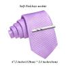 Barry.Wang Boys Tie Self-Tied Kids Necktie with Pocket Square Clip Set Silk Purple Youth Tie for Age 8-14 Uniforms School view 2