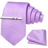 Barry.Wang Boys Tie Self-Tied Kids Necktie with Pocket Square Clip Set Silk Purple Youth Tie for Age 8-14 Uniforms School view 3