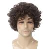 STfantasy Short Curly Afro Wig for Men Mens Synthetic Hair Wigs for Male Man Daily Cosplay Costume Anime Party (Brown) view 2