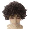 STfantasy Short Curly Afro Wig for Men Mens Synthetic Hair Wigs for Male Man Daily Cosplay Costume Anime Party (Brown) view 3