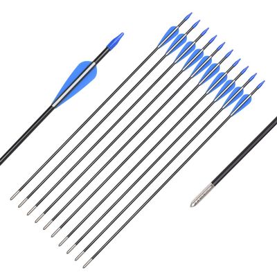 Fiberglass Arrows Archery 26 Inch Target Shooting Practice Safetyglass with Blue and White Vane for Recurve Bows Suitable for Youth Children Woman Beginner 12 PCS