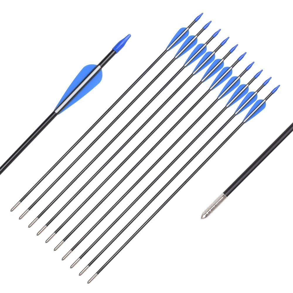 Fiberglass Arrows Archery 26 Inch Target Shooting Practice Safetyglass with Blue and White Vane for Recurve Bows Suitable for Youth Children Woman Beginner 12 PCS
