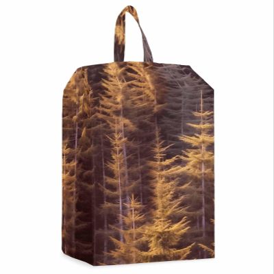 Spring Summer Forest Shoe Bags - Large Travel Golf Shoes Pouch Bags Storage Organizer Accessories with Zipper & Handle for Men, Women, Kids, Traveling, Gym, Sport, Nature Orange Tree Nature Scenic