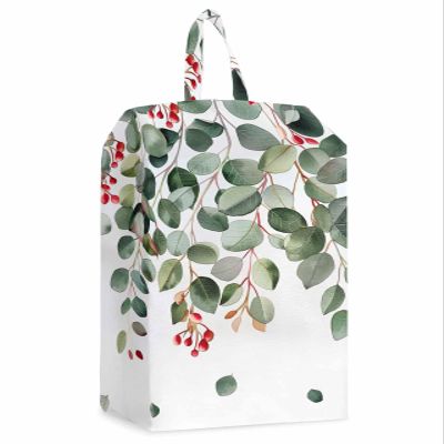 Eucalyptus Sage Shoe Bags - X-Large Travel Golf Shoes Pouch Bags Storage Organizer Accessories with Zipper & Handle for Men,Women,Kids,Traveling,Gym,Sport,Rustic Chic Greenery Plant Spring Summer