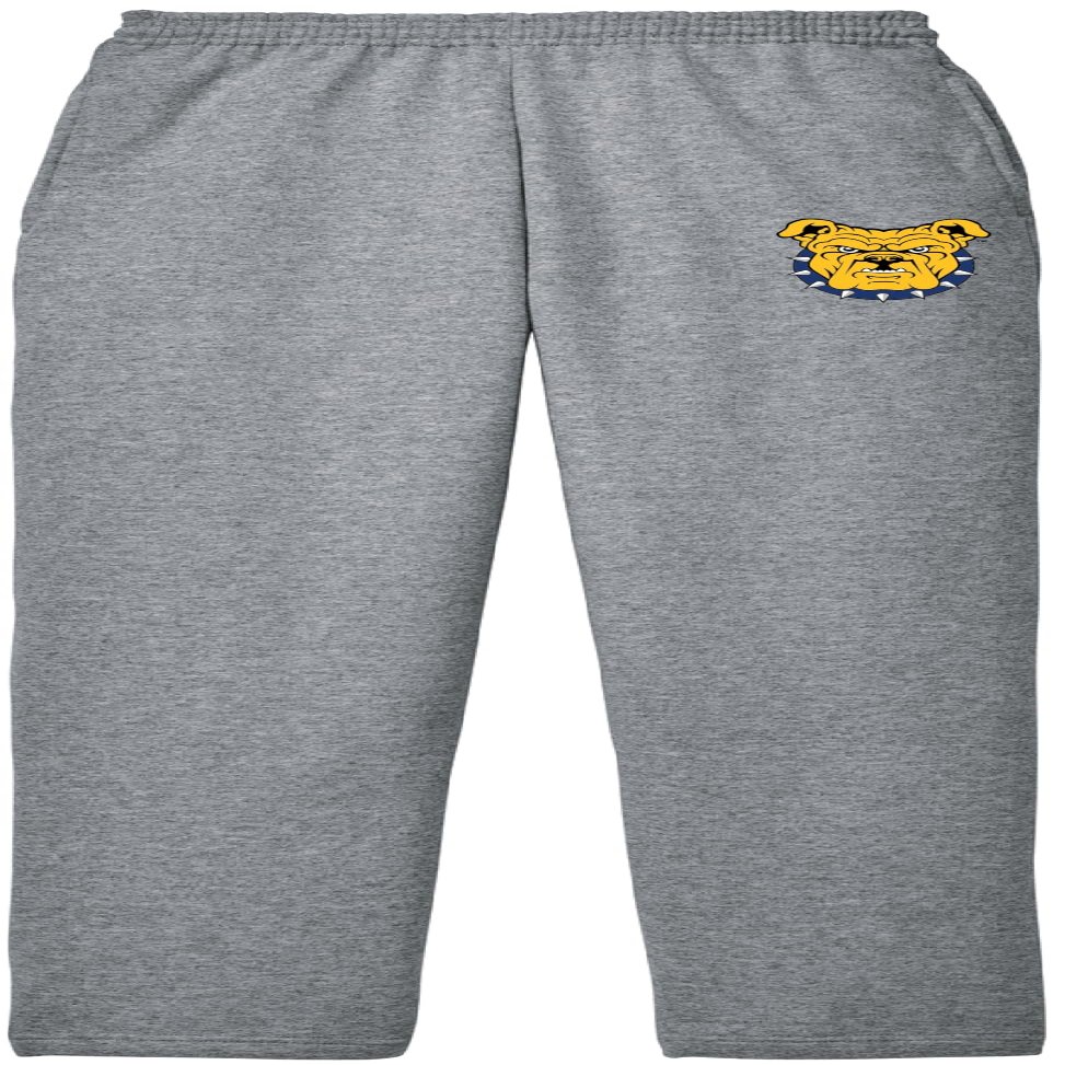 J2 Sport North Carolina A&T State University Sweats Aggies Unisex Sweatpants Apparel Grey