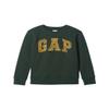 GAP boys Logo Sweatshirt Essex Green 702 S REG view 1