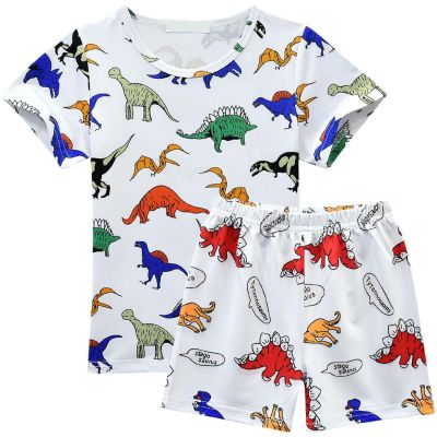 AMIMOJY Toddler Baby Boy Clothes Shorts Set Round Neck Dinosaur Print T Shirt Tops Short Sleeve Cotton Kids Outfit 2Pcs, White
