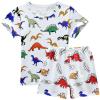 AMIMOJY Toddler Baby Boy Clothes Shorts Set Round Neck Dinosaur Print T Shirt Tops Short Sleeve Cotton Kids Outfit 2Pcs, White view 1
