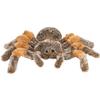 Rhode Island Novelty 8" Brown Spider view 1