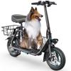 URBANMAX Electric Scooter with Seat for Adult,300W Motor,Up to 15.5 MPH,Max Range 20 Miles,Includes Ample Storage Basket for Pets Dogs Items,C1S-7S4 view 1