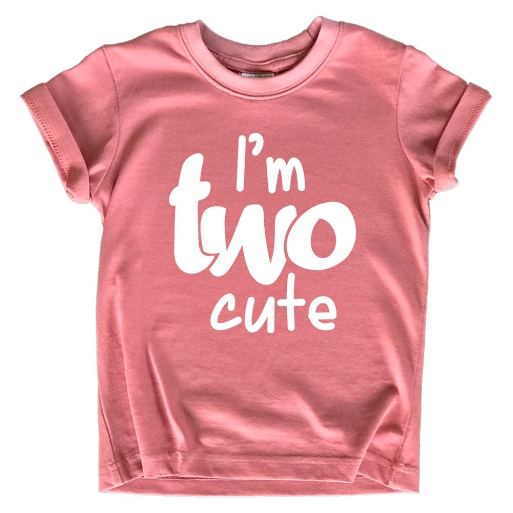 2nd Birthday Outfits for Toddler Girls im Two Cute Shirt Girl 2 Years Old Second Birthday (Mauve, 4 Years)