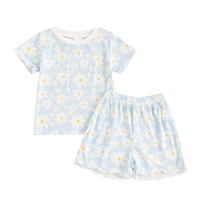 Afunbaby Toddler Baby Girl Summer Clothes Floral Short Sleeve Shirt Top and Shorts Cute Ribbed Outfit Clothing Set (Sky Blue, 2-3 Years)