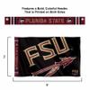 College Flags & Banners Co. Florida State FSU Noles Bold Logo Premium Flag view 2