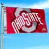College Flags & Banners Co. Ohio State Buckeyes Bold Logo Premium Flag view 3
