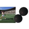 Hrtyvhin Highly Bounce Training Squash Ball Sports Competition Squash Ball Single Squash Rackets Ball For Training Practice Highly Bounce Training Squash Ball view 4