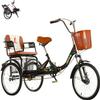 VHCLYBJU Tricycle for Adult Men Women 20Inch 3-Wheel Bike Trike Low Step-Through Frame with Large Cruiser Seat and Rear Basket Adult Folding Tricycle with Child seat (Black) view 1