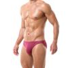 BANGWEAR Unpack Bikini Mens Brief Modal Underwear Burgundy view 3
