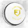 Fortress Royal Crown Cricket Balls  Premium Grade Hand Stitched Leather Cricket Ball [5.5oz, 5oz or 4.75oz]  4 Color Options (White, Men's (5.5oz) - Pack of 6) view 1