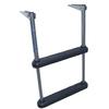 212 Main 2 Step Telescoping Over Platform Boat Ladder view 1