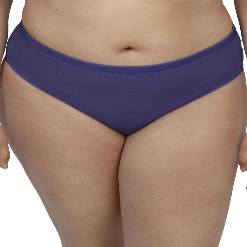 Curvy Couture Women's Sheer Mesh High Cut Brief Panty, Vintage Blue, Large