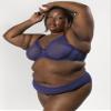 Curvy Couture Women's Sheer Mesh High Cut Brief Panty, Vintage Blue, Large view 3