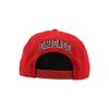 Chicago Bulls NBA Officially Licensed Adjustable Snapback Hat Flat Bill Z11 Icon Team Color view 4