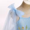 1st Birthday Girl Dress Baby Blue Floral Embroidery Tulle Dress Sleeveless Spaghetti Straps Dress Toddler Wedding Party Princess Dresses Blue 6-12 Months view 2