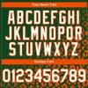 NineFit Basics Custom Baseball Jersey, Printed Stitched Personalized Name Number Green and Orange Leopard Baseball Shirt for Men Women Youth view 4
