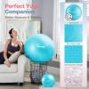 kisnbld Exercise Ball, Extra Thick Yoga Ball for Workout Pregnancy Stability, 4 Sizes Anti-Burst Balance Ball with Foot Pump - Heavy Duty Fitness Ball Chair for Office, Home & Gym view 4