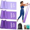 WALITO Resistance Bands for Working Out, Exercise Bands for Women and Men, Workout Bands for Physical Therapy, Stretch, Recovery, Pilates, Rehab, Strength Training and Home Gym view 1