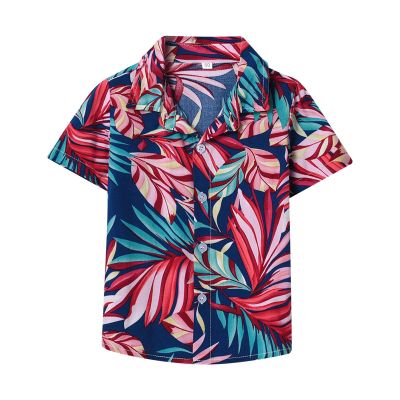 Boys' Button-Down Shirts, Kids Boys 3D Print Hawaii Shirt Tropical Button Down Dress Shirt for 1 to 8 (D-A, 9-12 Months)