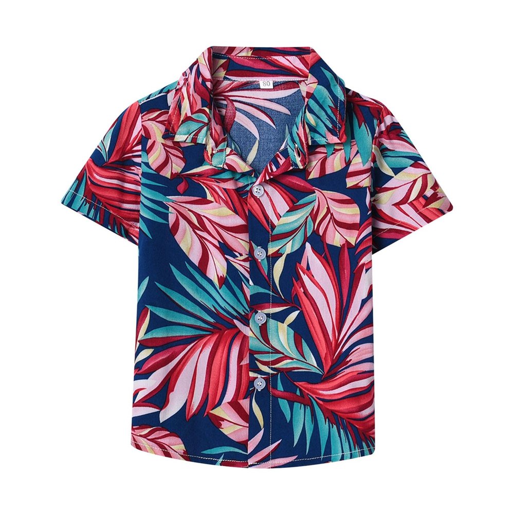 Boys' Button-Down Shirts, Kids Boys 3D Print Hawaii Shirt Tropical Button Down Dress Shirt for 1 to 8 (D-A, 9-12 Months)