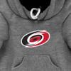 Littlearth NHL Furry Fan Pet Carrier Carolina Hurricanes view 3