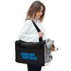 Littlearth NFL Furry Fan Pet Carrier Detroit Lions view 2