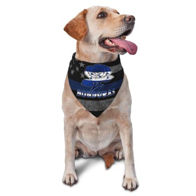 Honduras Honduran Flag Rose Flower Dog Scarf Pet Bandana Cat Pet Bibs