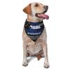 Honduras Honduran Flag Rose Flower Dog Scarf Pet Bandana Cat Pet Bibs view 1