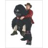 Back Gorilla Mascot Costume Adult Size for Men & Women with Built-in Fan Inside the Head view 1
